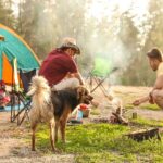 Pet-Friendly RV Camping