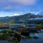 Discover and Look Chitwan