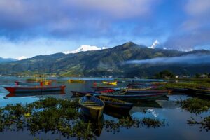 Discover and Look Chitwan