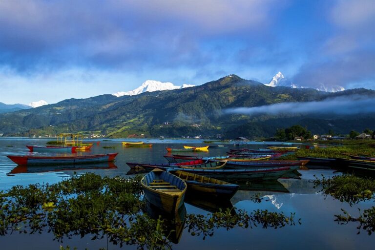 Discover and Look Chitwan