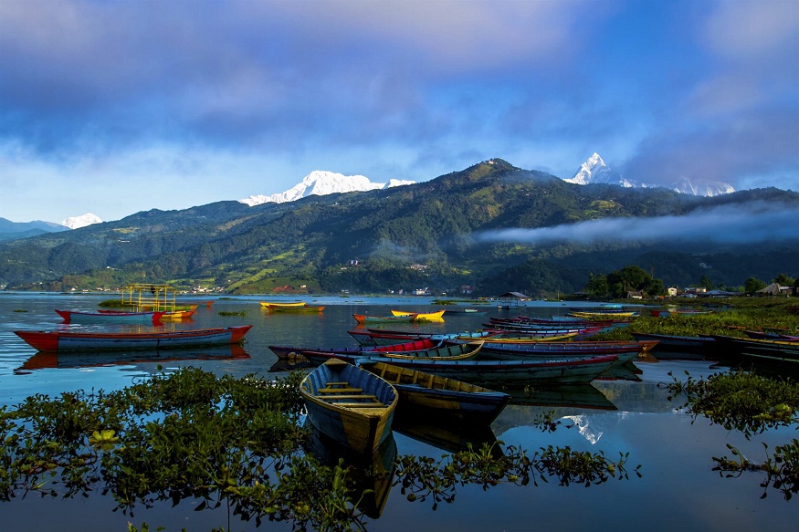 Discover and Look Chitwan